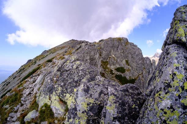 istock rocky sharp mountain tops in Tatra mountains in Slovakia 1043178724
