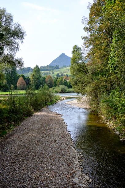 istock hiking trail in the woods 1043180376