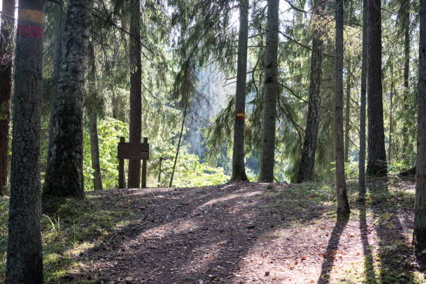 istock hiking trail in the woods 1043180400