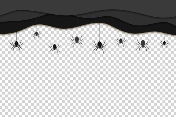вектор реалистичные изолированные черные слои бумаги вырезать с висячими пауками для украшения и покрытия на прозрачном фоне. жуткий фон д - silhouette spider tarantula backgrounds stock illustrations