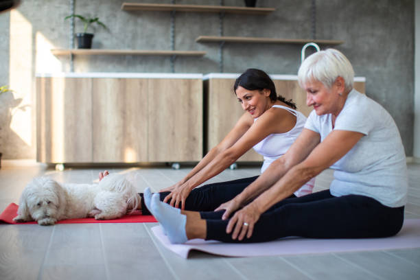istock Mother and daughter exercising indoors 1043191564