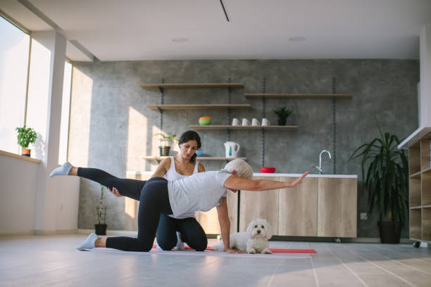 istock Senior woman exercising with personal trainer 1043191684