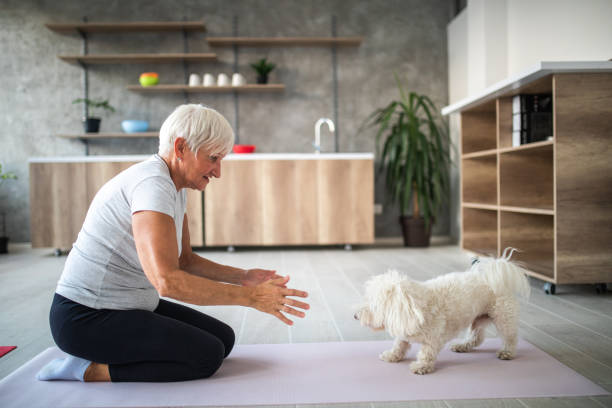 istock Senior woman playing with dog 1043193798
