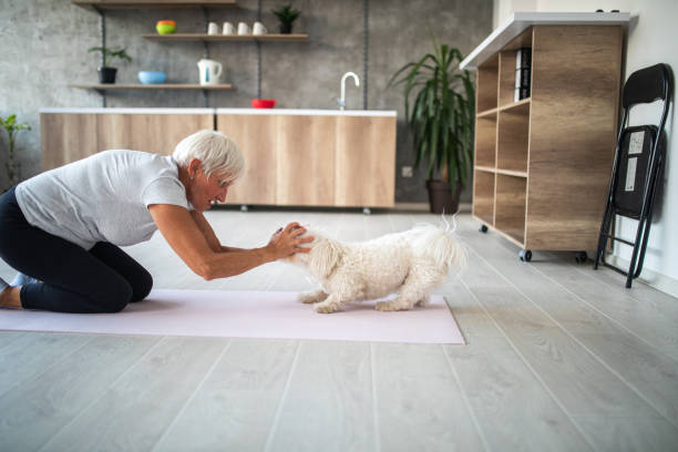 istock Senior woman playing with dog 1043194000