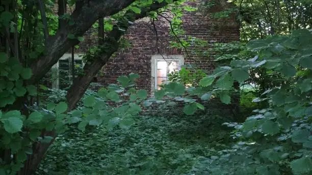 Small, one-story, abandoned brick house, located in the middle of the forest. Through one window we see a shining sun. In front of the house you can see a lot of greenery.