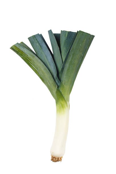 istock young green garlic isolated on white background. 1043212034