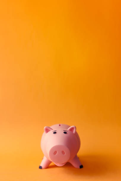 istock cute coins box piggy 1043213306