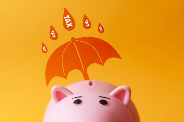 зонтик спасает копилку от дождя налогов - security umbrella rain currency стоковые фото и изображения