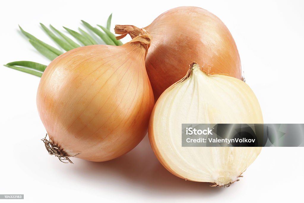 Fresh onion  Onion Stock Photo