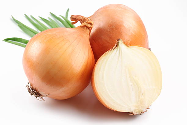 Fresh onion stock photo