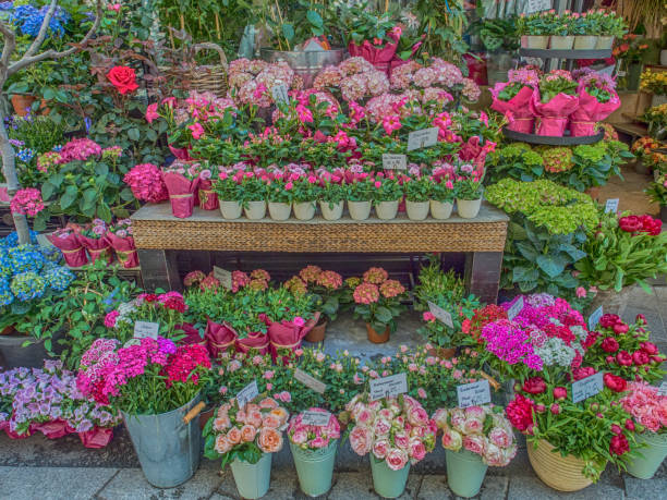 istock Flower Shop on a Stephansplatz in Vienna 1043240602