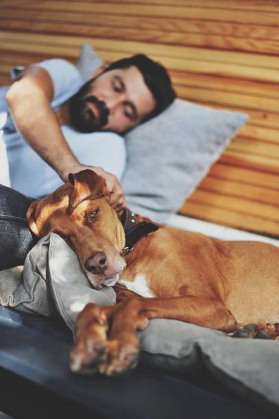 istock Young man chilling with his dog 1043241100