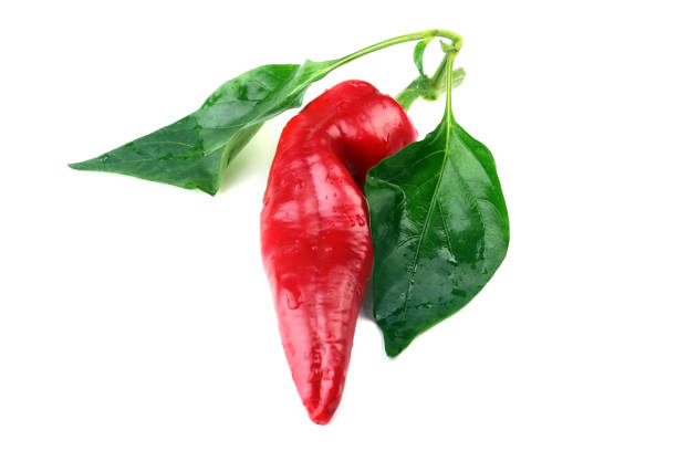 istock Red hot chili pepper isolated on white background. 1043243178