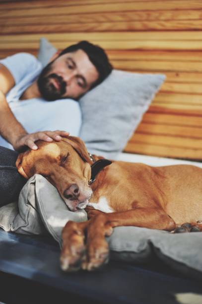 istock Young man chilling with his dog 1043243806