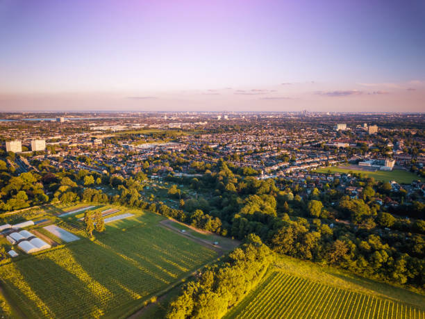 luchtfoto van het sunrise van de skyline van de stad van londen en beroemde wolkenkrabbers in de de achtergrond boven een woonwijk van londen. - areal stockfoto's en -beelden