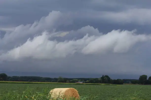 white thunder clouds above the fields in summer