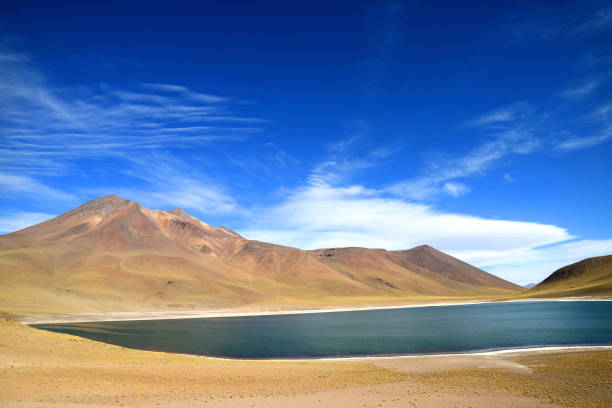 laguna miniques o miniques lago volcán miscanti de cerro en el telón de fondo, región del norte de chile - cerro miscanti fotografías e imágenes de stock