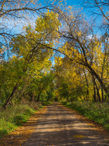 istock Autumn rural road going into the distance. 1043266370