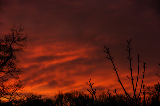 A sun sets over a forest on hazy clouds due to a forest fire