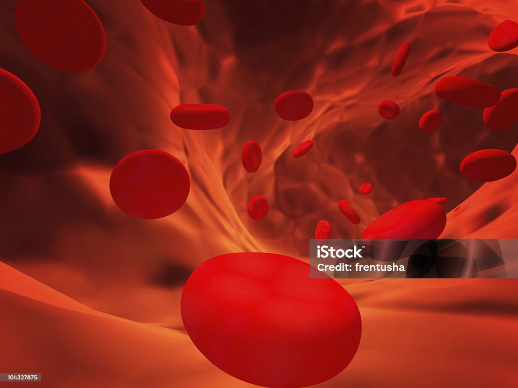 Erythrocytes  Red Blood Cell Stock Photo