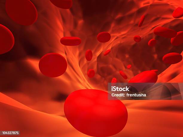 Erythrocytes Stock Photo - Download Image Now - Red Blood Cell, Anatomy, Animal Blood