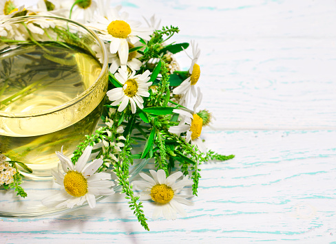 Herbal tea with chamomile in a glass cup with fresh herbs on white wooden background