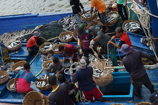 Banda Aceh, Indonesia - September 22, 2018: Local fishermen are transporting tuna fish from their vessels to the seaport at Lampulo, Banda Aceh
