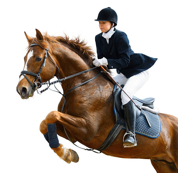 jumper de equitación - competition action animal close up fotografías e imágenes de stock