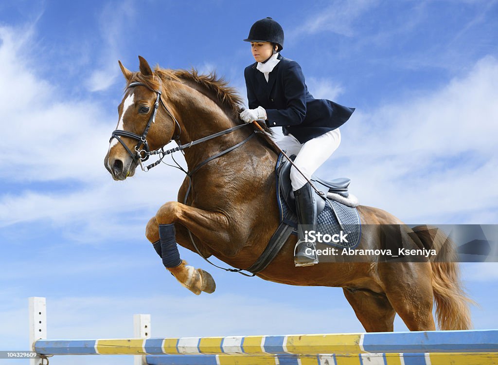 Equestrian jumper Young girl jumping with sorrel horse Horse Stock Photo