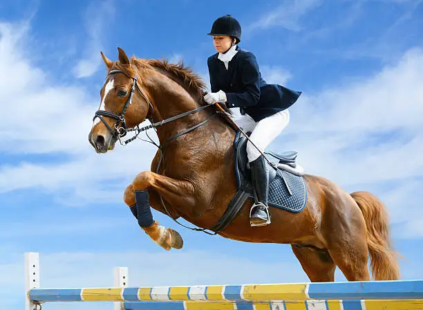 Young girl jumping with sorrel horse