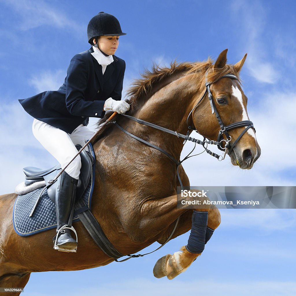 Equestrian jumper Young girl jumping with sorrel horse Equestrian Show Jumping Stock Photo