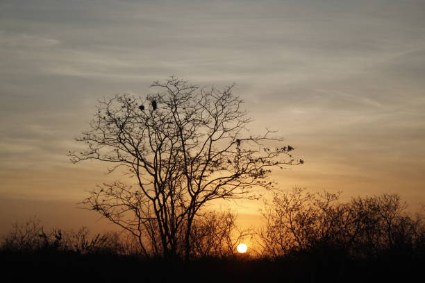 istock Sunset on the open country 1043322694