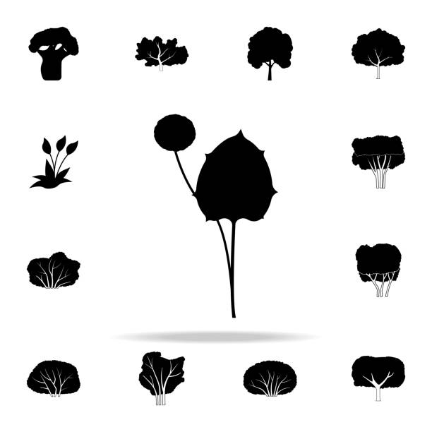 mother and stepmother icon. Plants icons universal set for web and mobile mother and stepmother icon. Plants icons universal set for web and mobile on white background my stepmom stock illustrations
