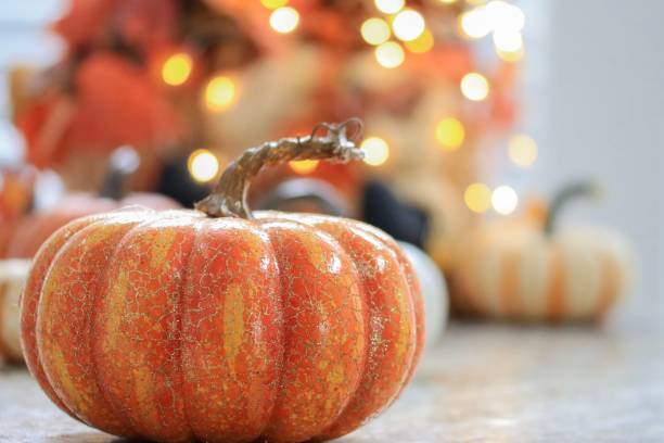 istock Pumpkin and autumn decorations 1043355692
