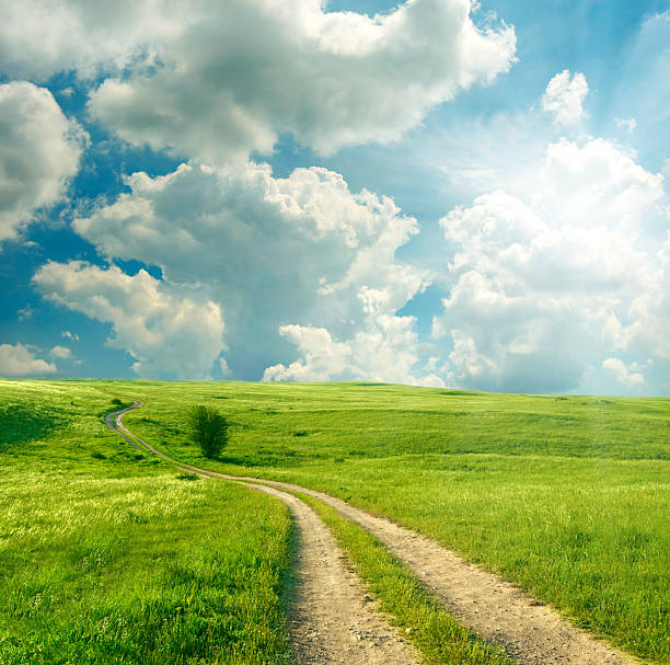 istock Up close beautiful summer landscape view 104336959