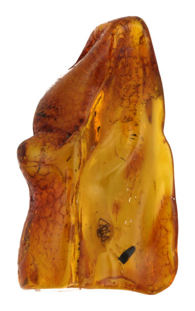 istock Amber fossil isolated on white background 1043376372