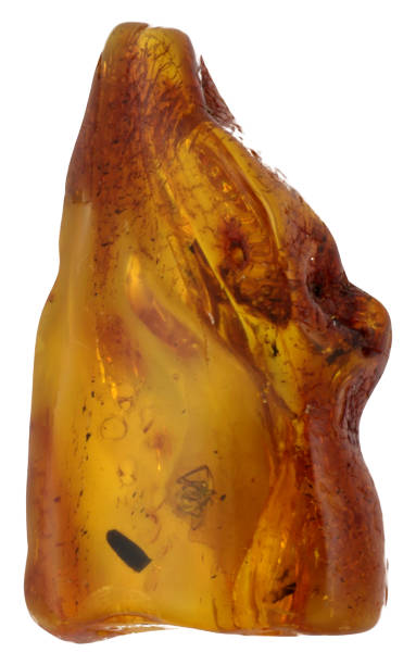 istock Amber fossil isolated on white background 1043378856