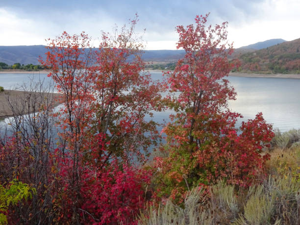 A view from near Windsurfer Beach on Pineview Reservoir East of Ogden, Utah