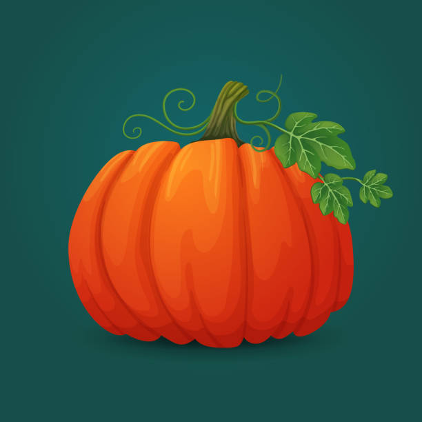 ilustraciones, imágenes clip art, dibujos animados e iconos de stock de icono de calabaza ovalado maduro con hojas y tallos. - october vegeterian food vegetable