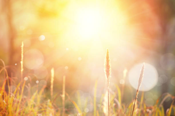 istock Enjoy your new day 1043388536