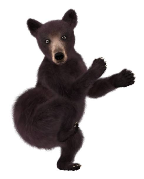 istock Black bear cub isolated on white background 3d illustration 1043391002