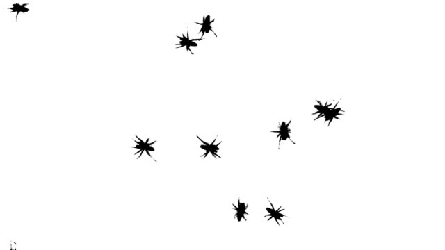 Spiders passing Silhouette
