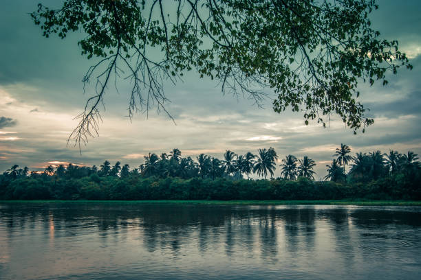 istock Overcast sky during sunset along Tha Chin river(Maenam Tha Chin),Nakhon Pathom,Thailand 1043393772