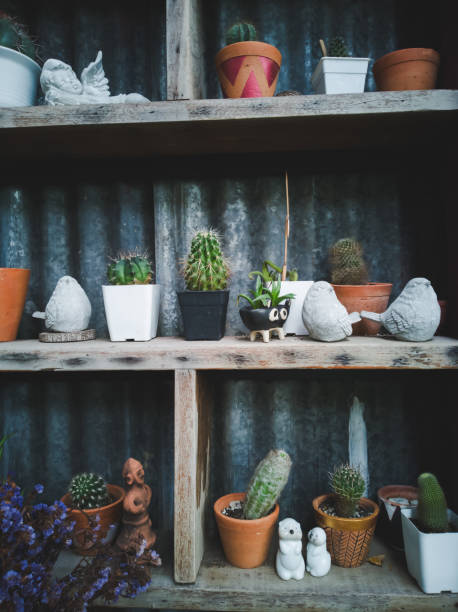 istock Cactus and garden decor on a wooden floor. 1043408410