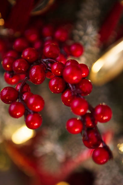 istock Christmas berries ornament 1043426400