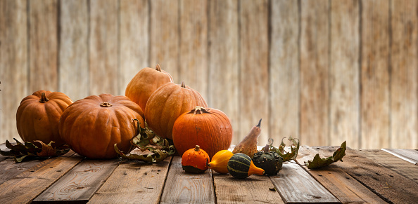 Thanksgiving concept. Colorful pumpkins and fall leaves on rustic wooden background, copy space