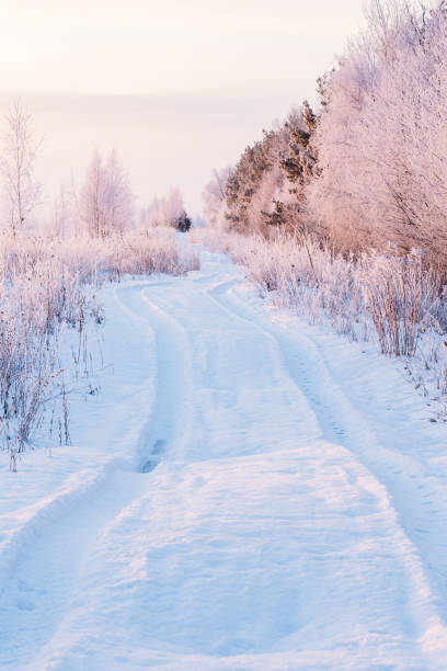 istock Landscape with a winter snowy road 1043432714