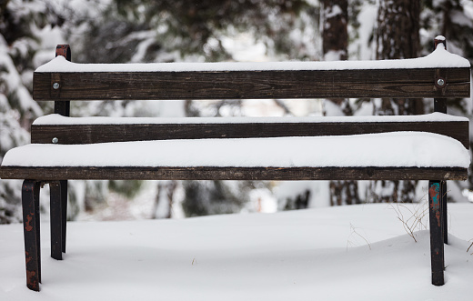 White snow covers a wooden peeled bench. Wintertime, nature at park with blurred frozen trees background. Close up front view.