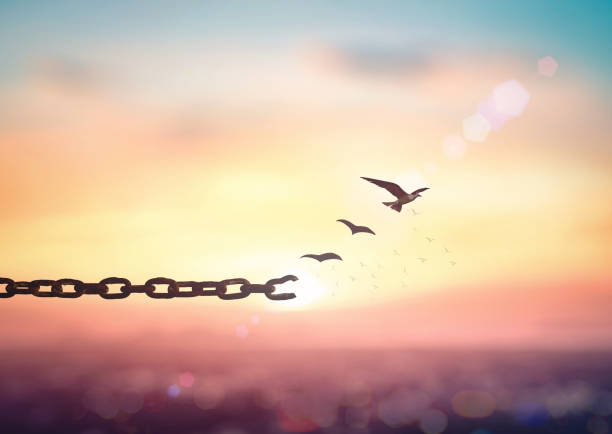 Freedom concept Silhouette of bird flying and broken chains at beautiful mountain and sky autumn sunset background new life stock pictures, royalty-free photos & images