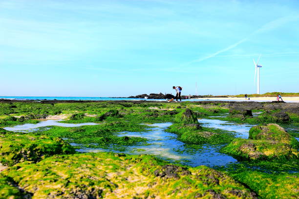 This is the view of Gimnyeong Beach in Jeju.